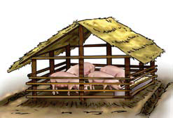 Fattening Pig Pigsty Building Fattening pig Pigsty Building