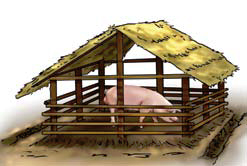 Breeding boars Pigsty Building Breeding boars Pigsty Building