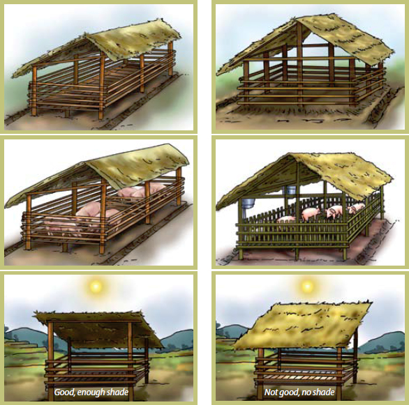 Different models/types of pig house/sheds. Different models/types of pig house/sheds.